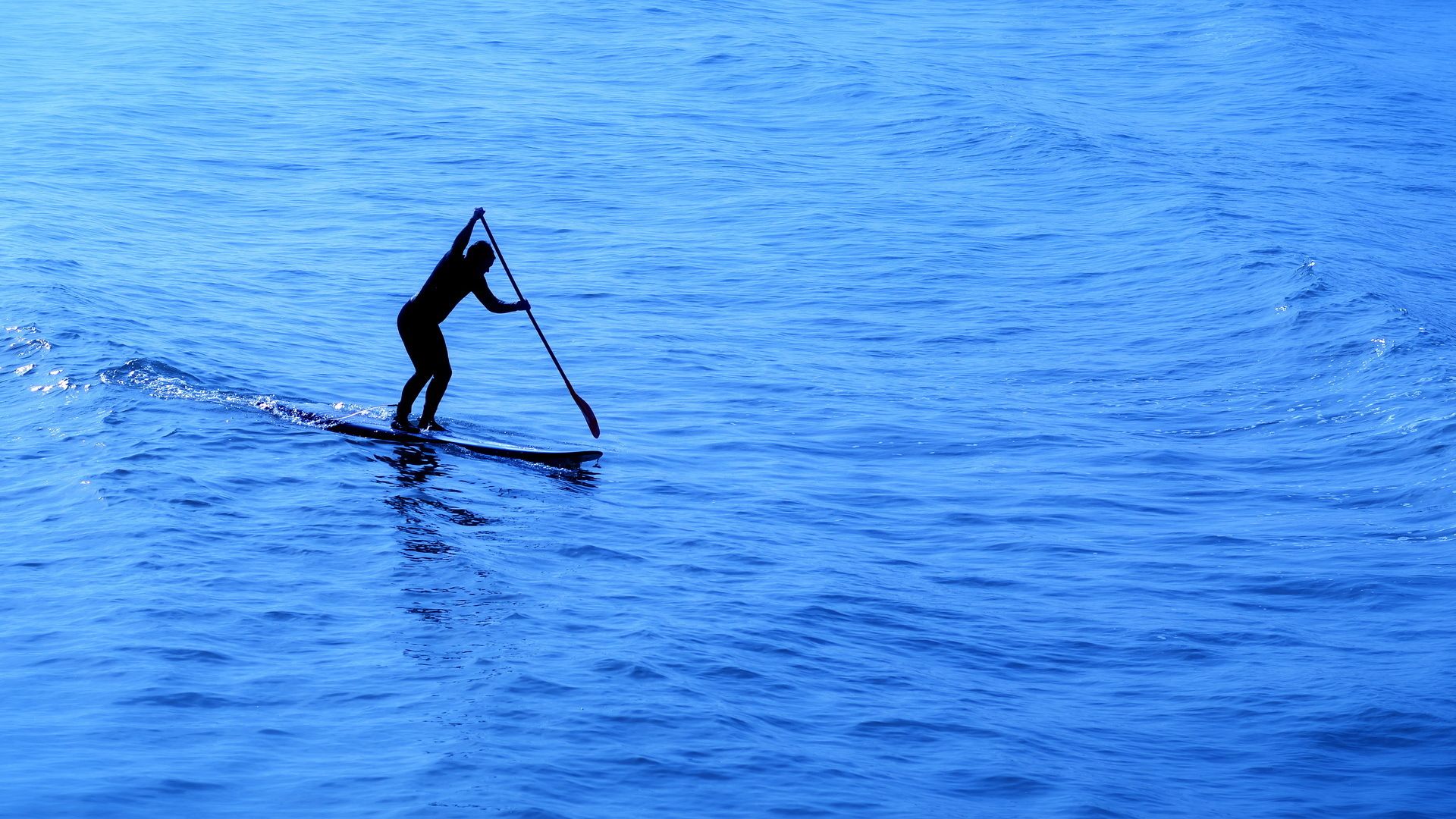 Paddling Section Kayak and SUP